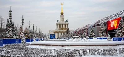 Смешные моменты в поездке: на фотографиях