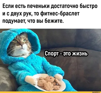 Новые смешные картинки про похудение для скачивания бесплатно