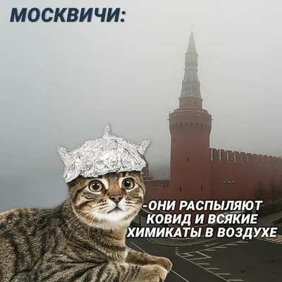 Фотографии, которые покажут вам, что прививки могут быть веселыми