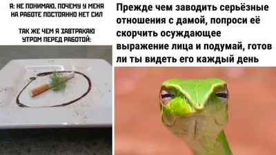 Веселые сцены из офисной жизни: фото, которые вызовут улыбку и радость!