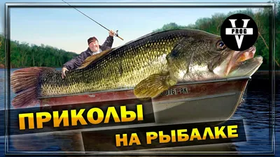 Рыбаки в необычных ситуациях: смешные фото!