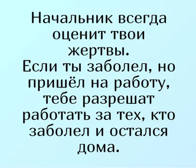 Смешные картинки про шефа: скачать бесплатно в хорошем качестве для хорошего настроения