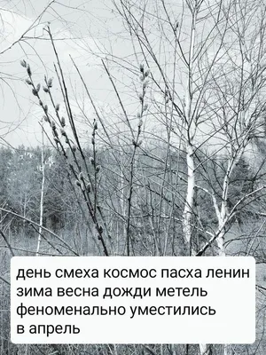 Веселые снежные моменты весной: фотографии, которые заставят вас улыбнуться!