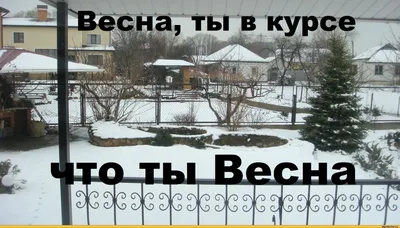 Смешные картинки про снег весной в Full HD качестве