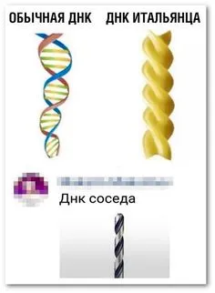 Смешные картинки про соседей: скачать бесплатно в хорошем качестве (JPG, PNG, WebP)