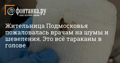 Смешные картинки про тараканов в голове - смешные и уморительные фотографии