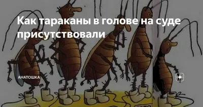 Смешные фотографии, которые покажут, что тараканы в голове могут быть веселыми.