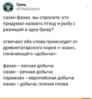 Смешные картинки про татар в формате JPG