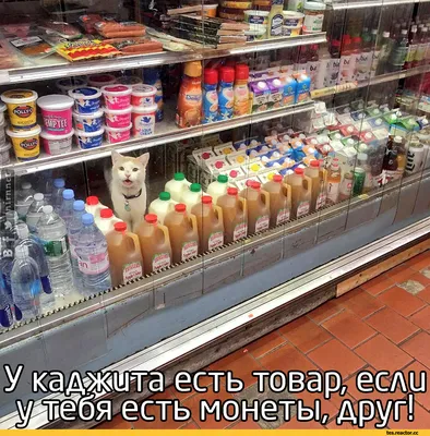 Невероятные снимки, которые вызовут улыбку