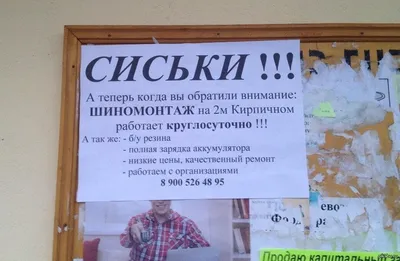 Невероятные моменты, запечатленные на фото про торговлю