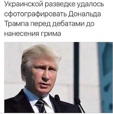 Скачать бесплатно смешные картинки про Трампа в хорошем качестве