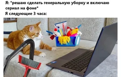 Картинки про уборку дома: скачать в формате JPG, PNG, WebP