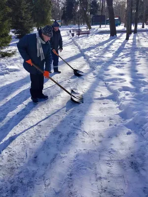 Забавные снежные кадры