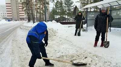 Юмористические снежные картинки