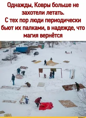 Забавные снежные зарисовки