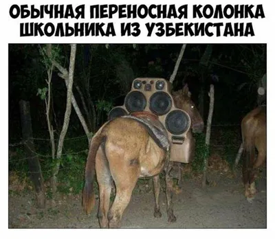 Смешные фотки узбеков бесплатно