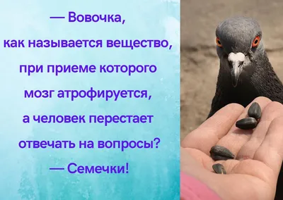 Фотографии, которые вызовут улыбку