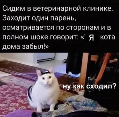 Фотографии, которые вызовут улыбку про возраст женщины