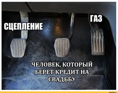 Веселые снимки: смешные картинки про замужество, чтобы поднять настроение!