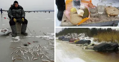 Смешные картинки про зимнюю рыбалку с улыбкой на лице