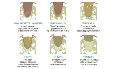 Фото, которые покажут, что зубные врачи тоже любят посмеяться