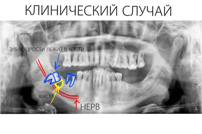 Фото зубных врачей в формате png