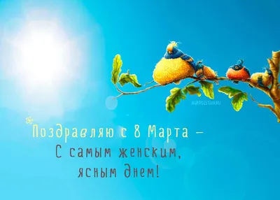 Новые фото смешные картинки с 8 марта: улыбайтесь вместе с нами!