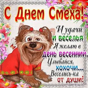 Смешные картинки с днем смеха - новое