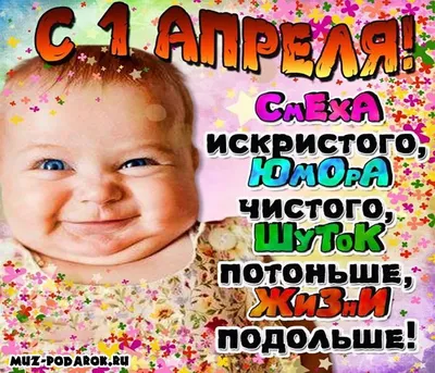 Скачать бесплатно смешные фото