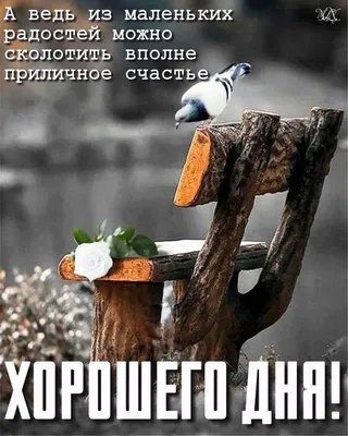 Начните день с улыбки: фото смешных картинок на хорошее утро!