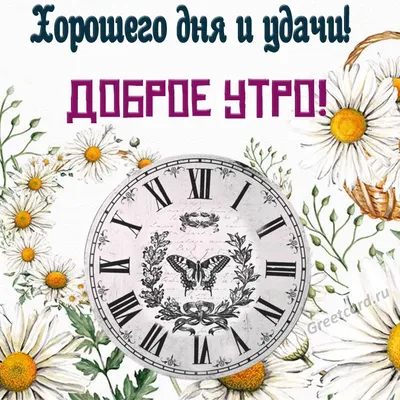 Утренние фото для поднятия настроения: png, jpg, webp