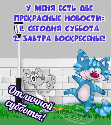 Новые смешные картинки с добрым утром в субботу: скачать бесплатно в хорошем качестве