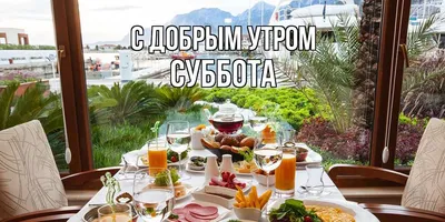 Субботнее утро смеха и веселья (фото)