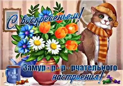 Утренние фото в формате webp