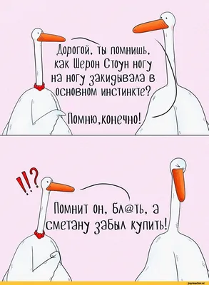 Смешные картинки с гусем: новое