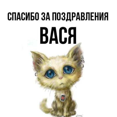 Выберите размер и формат: JPG, PNG, WebP