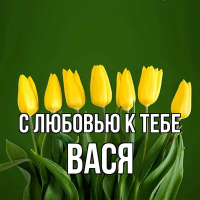 Веселые моменты с Васей на фото!