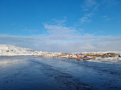 Смешные картинки с благодарностью и забавными надписями