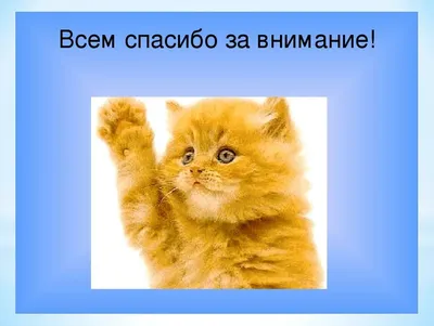 Картинка с надписью Спасибо за внимание в хорошем качестве