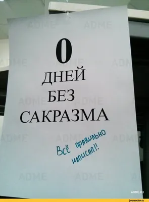 Смешные картинки с сарказмом: выбери размер и формат для скачивания