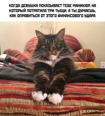 Фотографии, которые вызовут улыбку