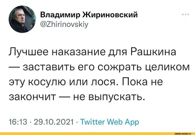 Уникальные смешные картинки с Жириновским: необычные и забавные моменты на фото