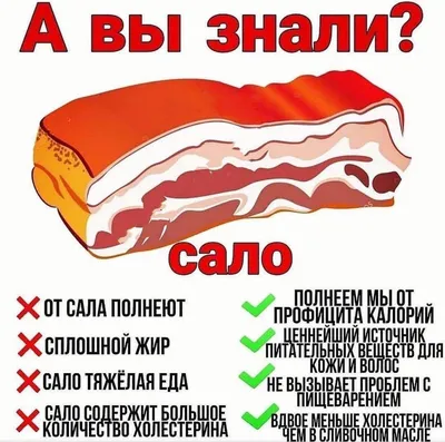 13) Смешные картинки сало: выберите изображение и скачайте бесплатно