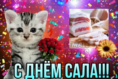 Забавные фото сало: смех гарантирован!