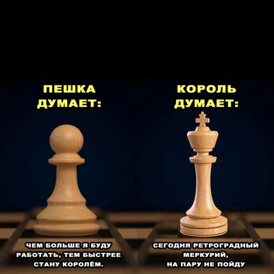 Смешные картинки шахматы: скачать новые изображения в хорошем качестве