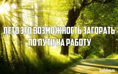 Улыбайся смешным картинкам скоро лето!