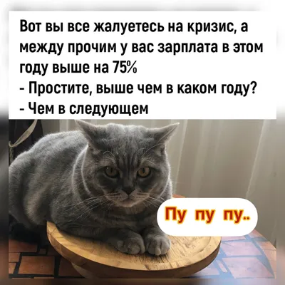 Смешные картинки суббота: Уникальные фотографии, которые вызовут улыбку