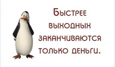 Смешные картинки суббота: Улыбнитесь с этими фотографиями