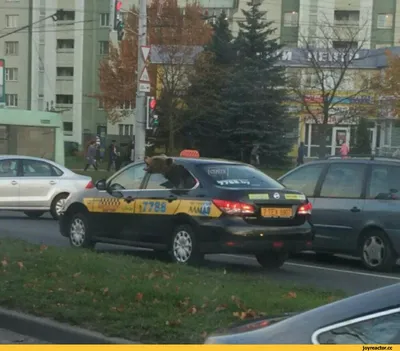 Фото смешного такси в HD качестве