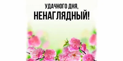 Фото, чтобы поднять настроение и улыбнуться всем сердцем!